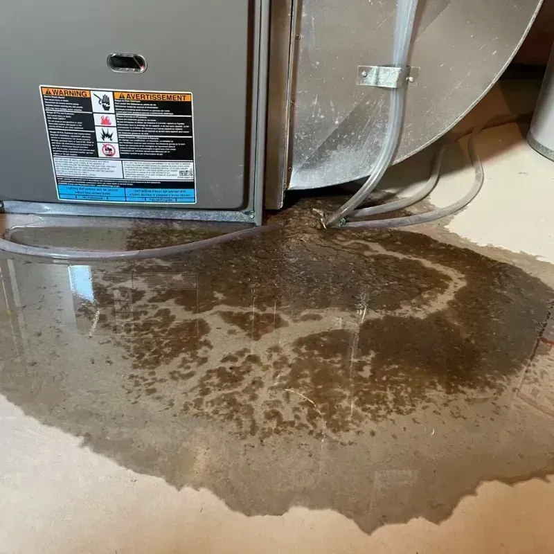 Appliance Leak Cleanup in Novato, CA